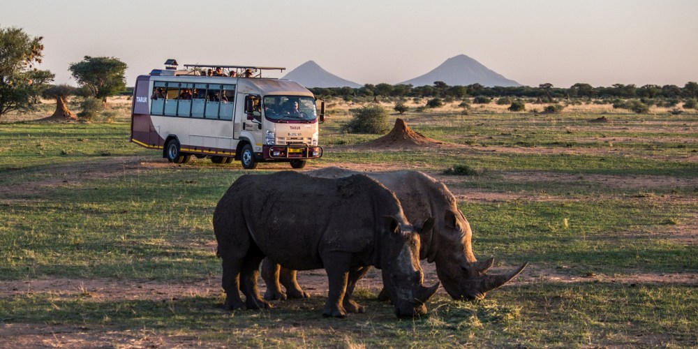 Nashörner in Namibia vor TARUK Safari Explorer