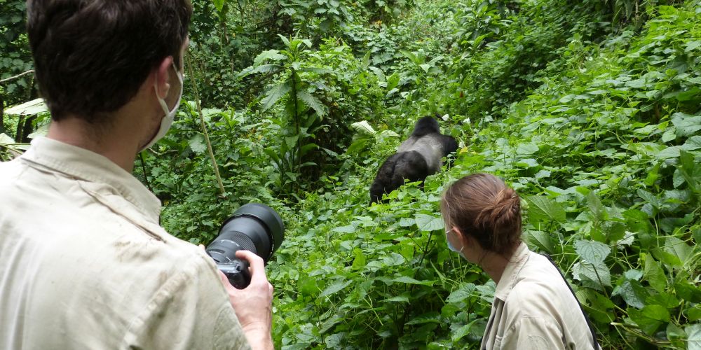 TARUK Mitarbeiterin Josi Klenk mit Silberrücken im Bwindi Impenetrable Forest Nationalpark in Uganda