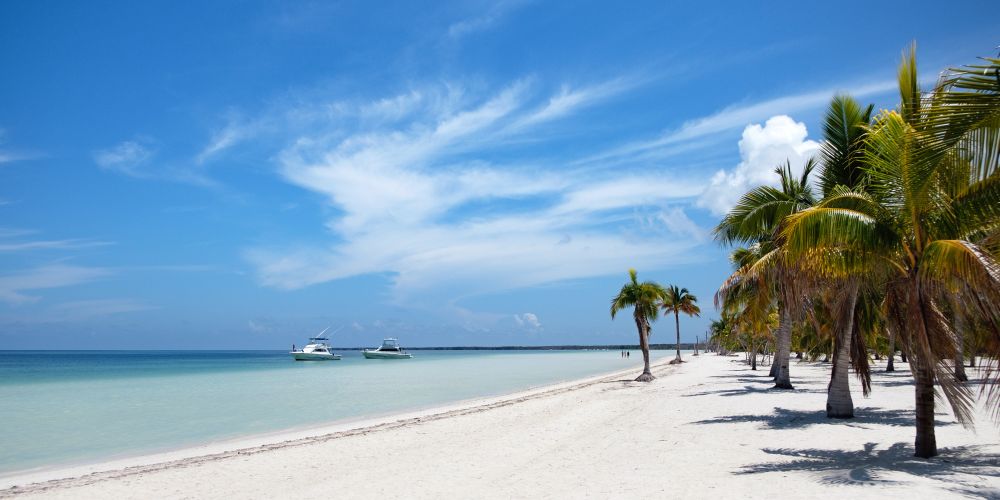 Playa Cayo mit weißem Sandstrand und Palmen in der Karibik auf Kuba