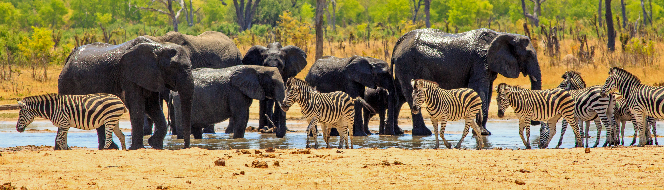 Hwange National Park