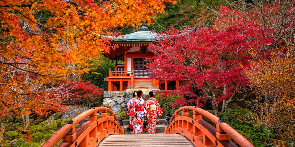 Frauen im Kimono vor einem Tempel bei Herbstlaubfärbung in Japan