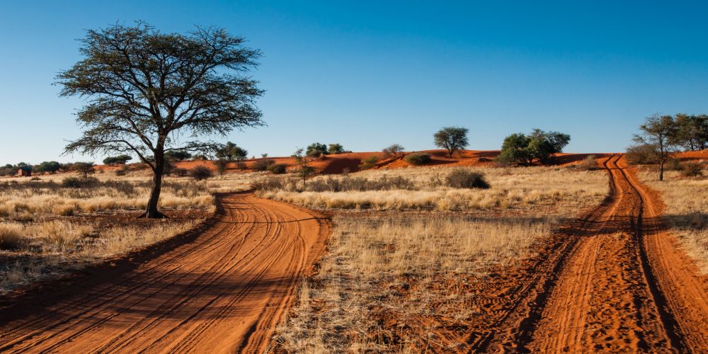 Sandpiste in der Kalahari Wüste in Namibia