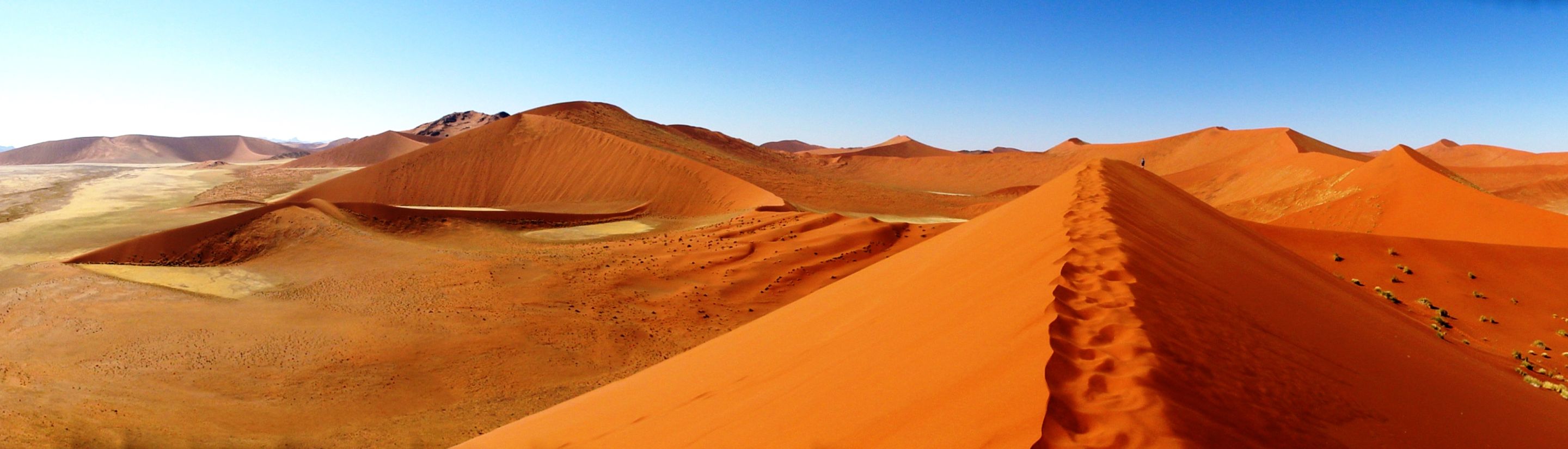Die Namib-Wüste: leuchtendes Dünenmeer