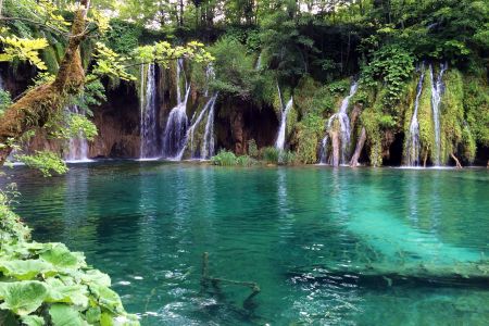 Türkisblauer See im Nationalpark Plitvicer Seen Kroatien