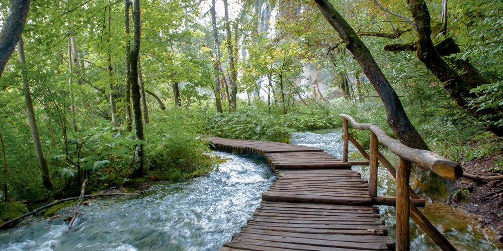 Holzsteg Wald Nationalpark Plitvicer Seen Kroatien
