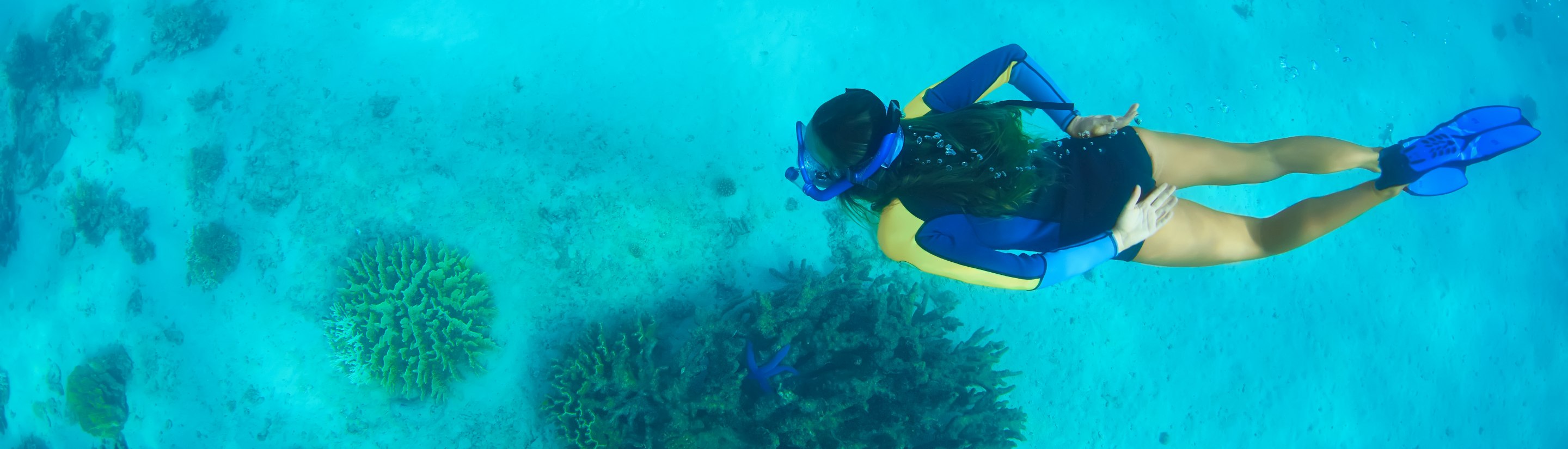 Das Ningaloo Reef