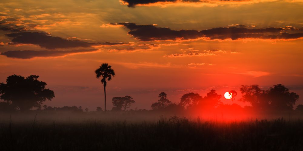 Sonnenaufgang über Landschaft im Okavango Delta Botswana