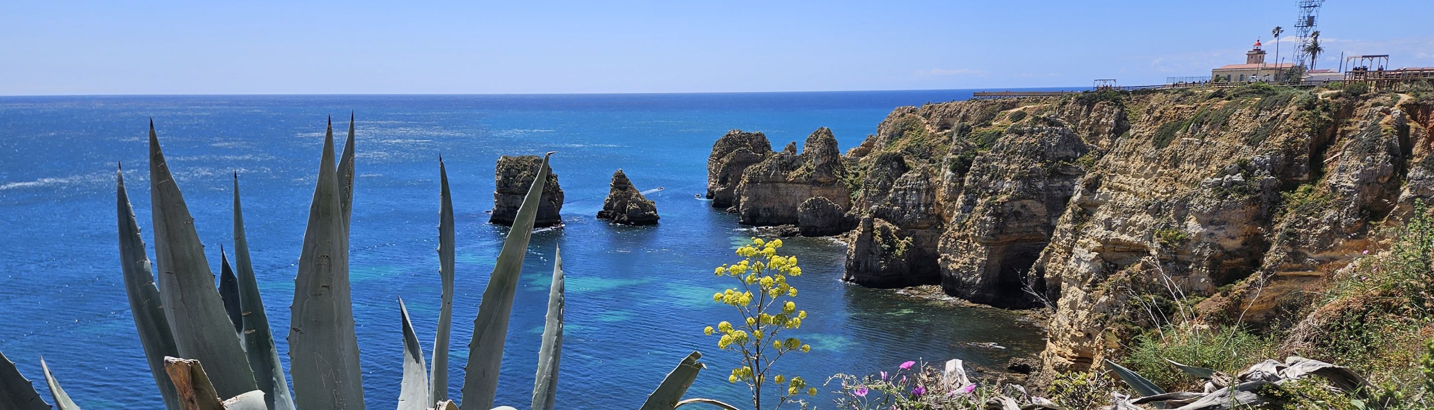 Reisebericht Portugal – Strände, Lissabon & Portwein?
