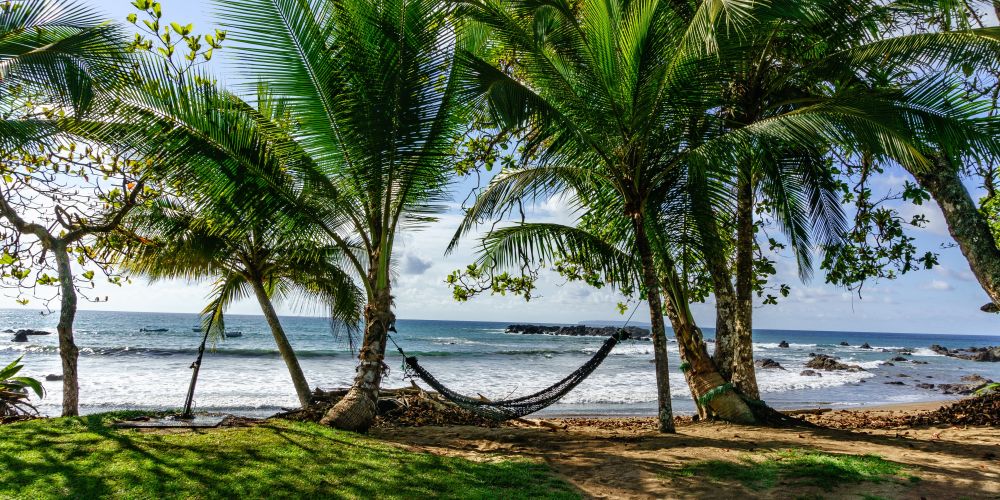Hängematten und Palmen am Strand von Costa Rica