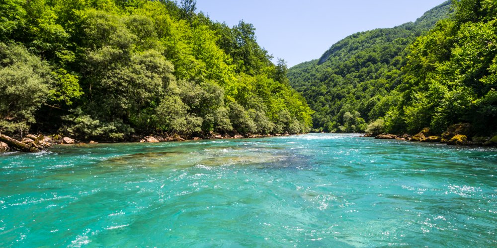 Türkises Wasser im Tara Fluss in Montenegro