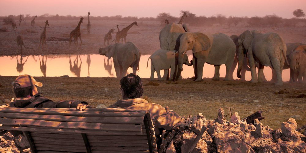 Touristen betrachten das Wasserloch bei Okaukuejo im Etosha Nationalpark