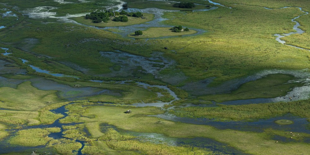 Blick aus Flugzeug auf das Okavango Delta und einen Elefanten