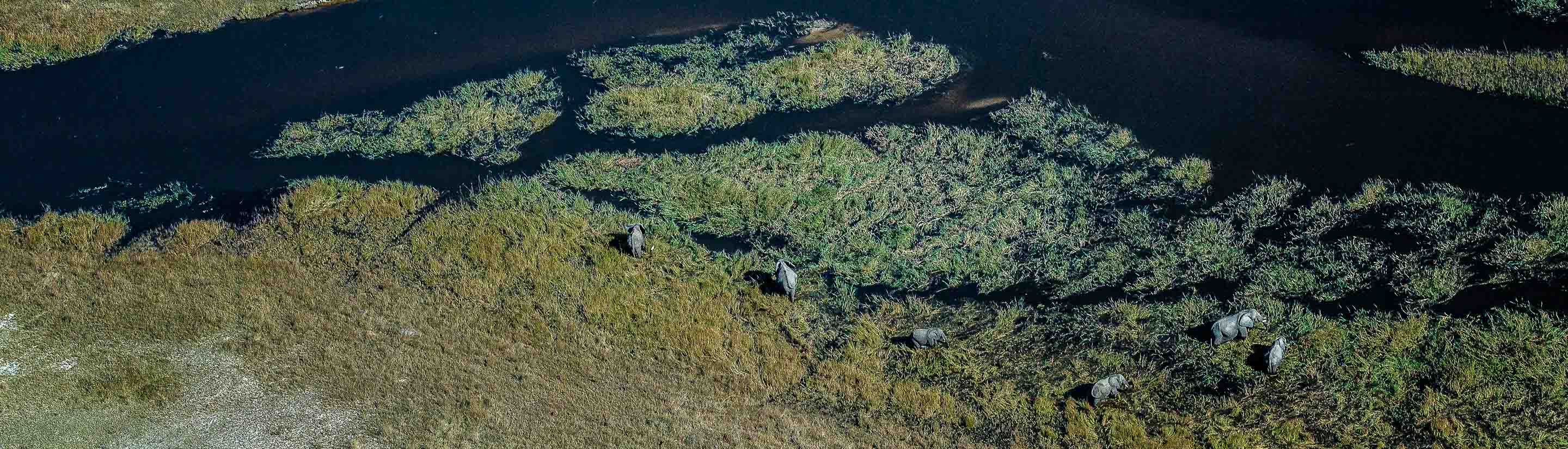 Botswana-Rundreise: Elefanten hautnah
