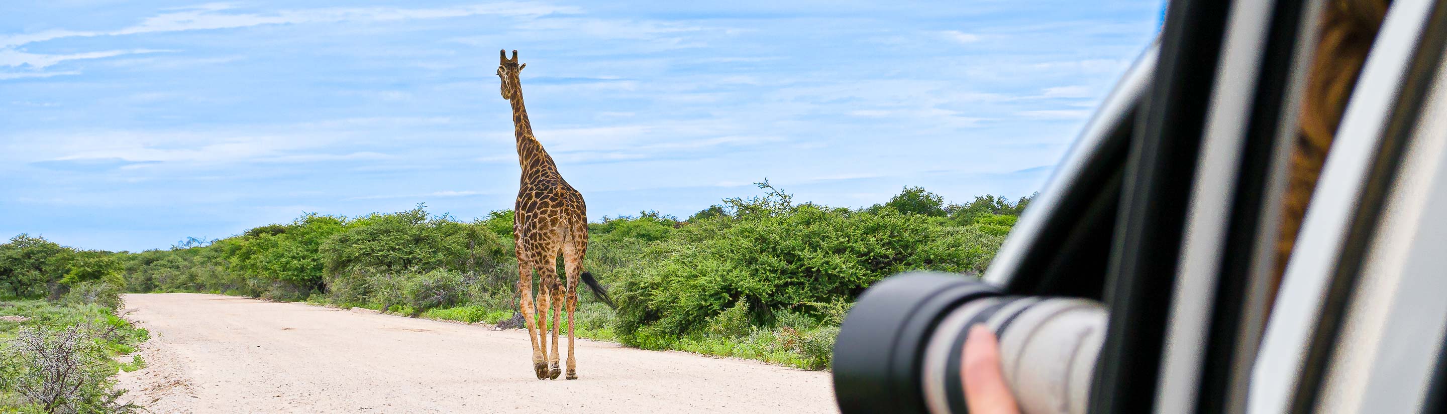 Selbstfahrer Caprivi