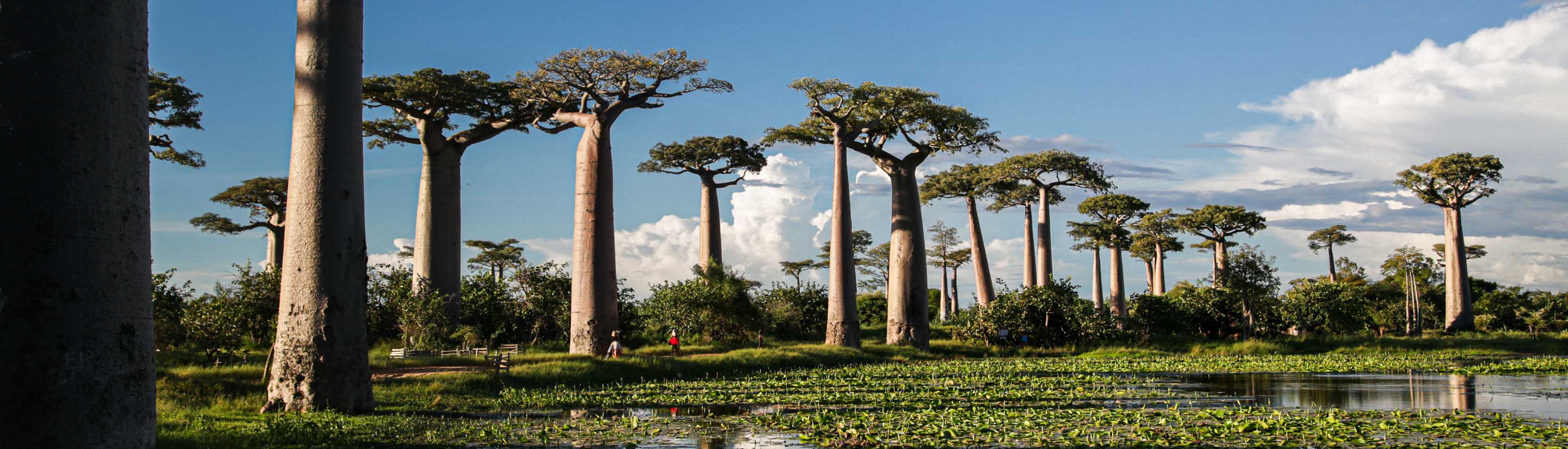 Madagaskar-Rundreise