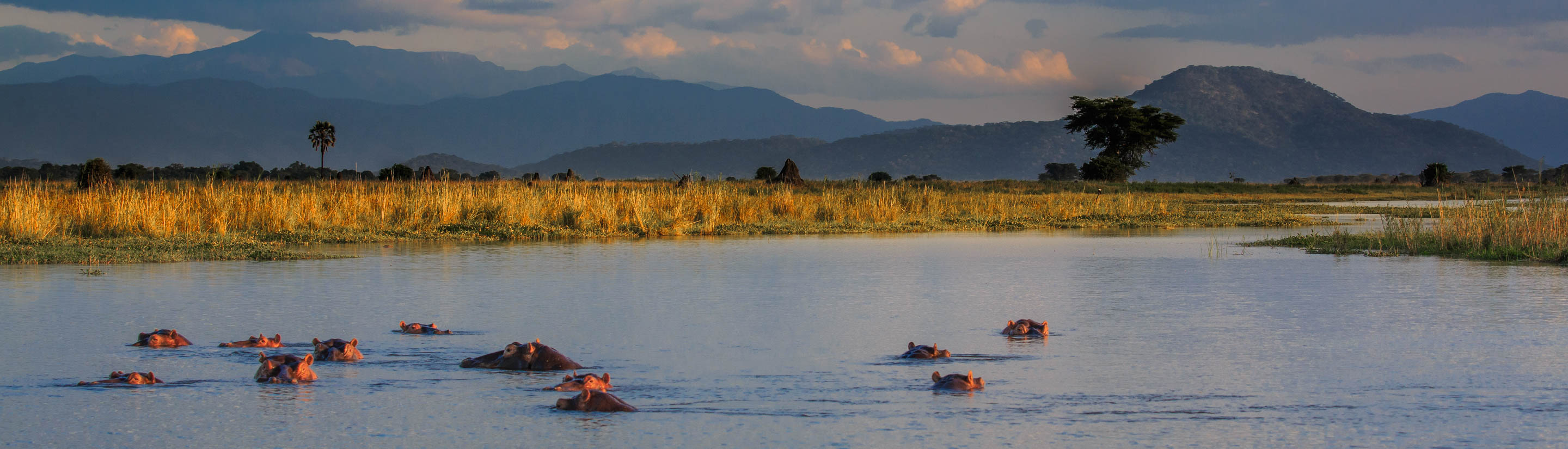 Malawi-Rundreise: der Geheimtipp in Südostafrika