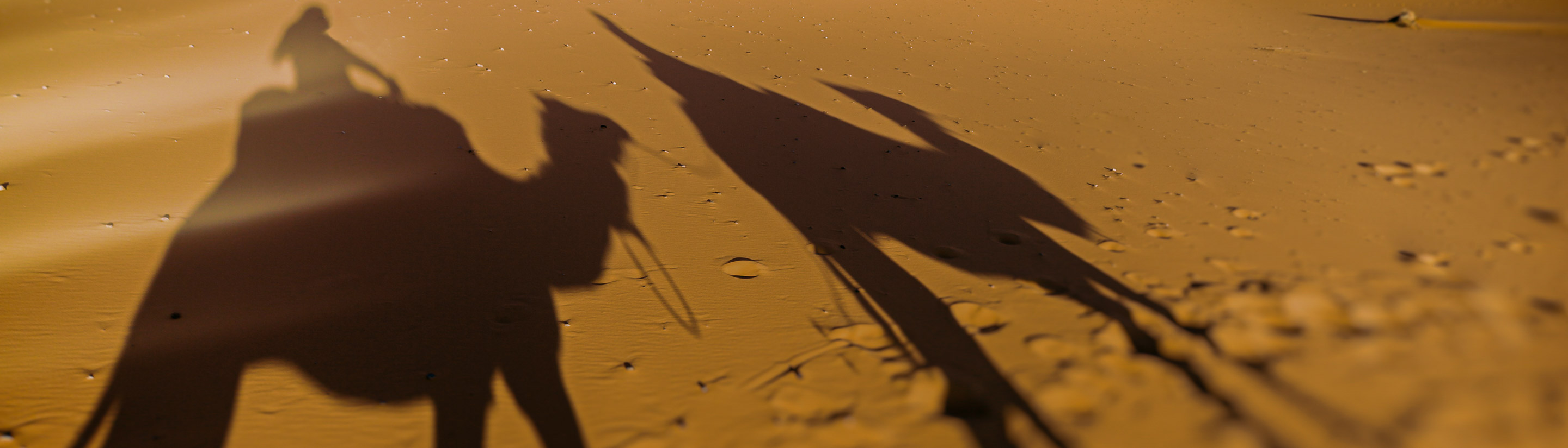 Marokko Reise Schatten von Kamelen