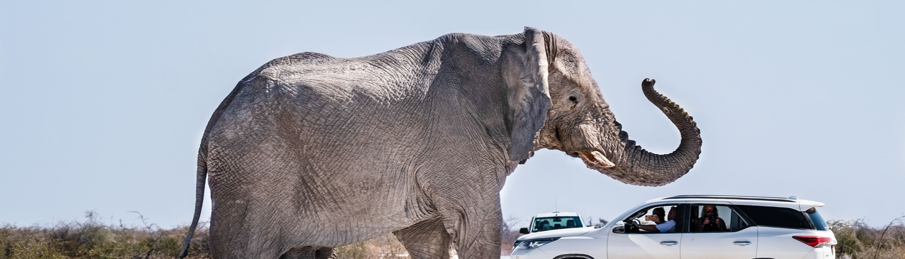 Selbstfahrer Etosha