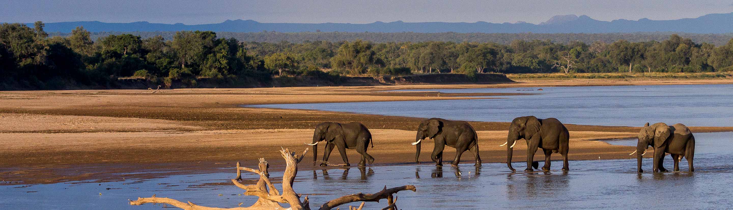 Reisen nach Sambia: Juwel im Herzen Afrikas