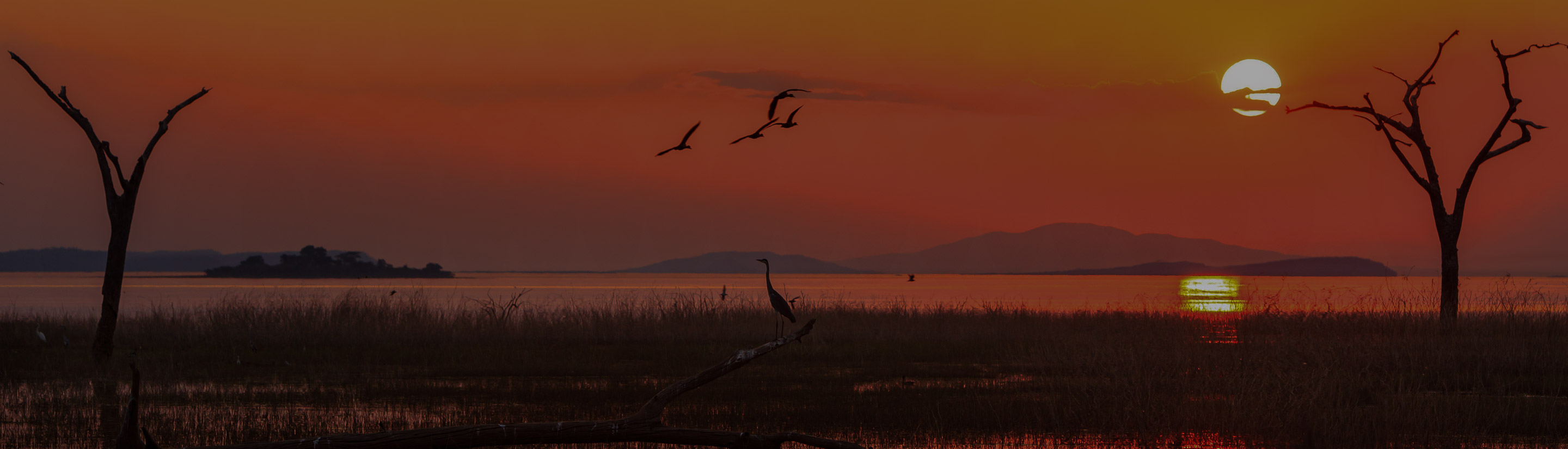 Simbabwe Reise Sonnenuntergang Sambesi