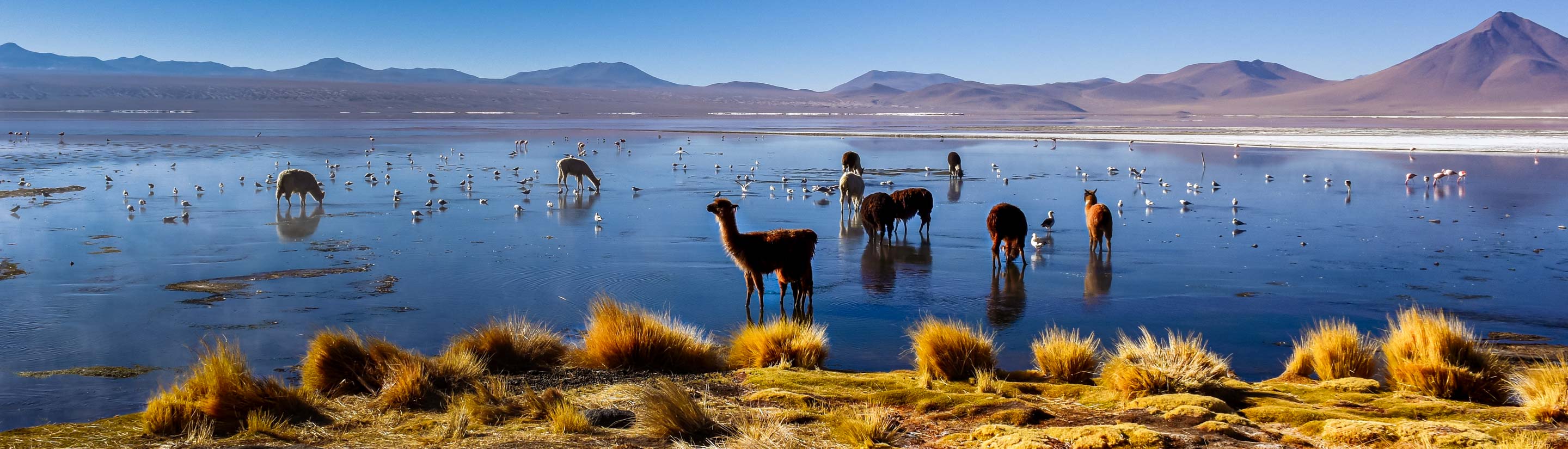  Indigene Bräuche auf einer Bolivien-Rundreise  