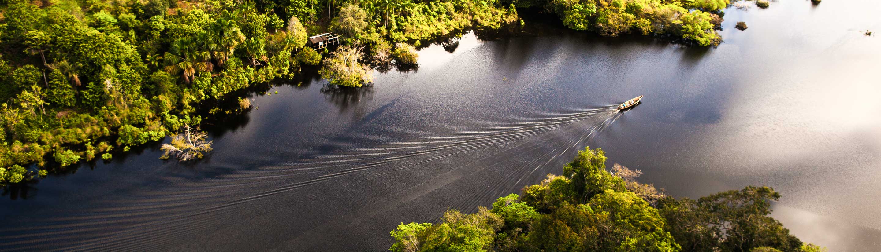 Amazonas-Pantanal