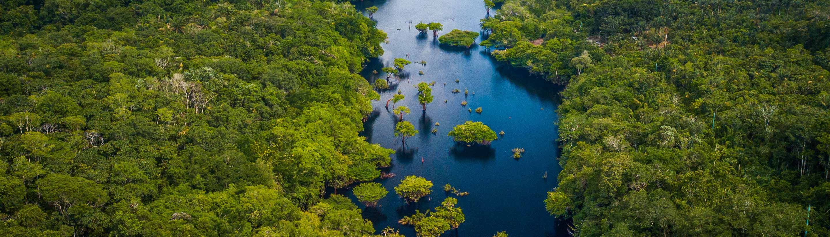 Brasilien-Rundreise: Magie im Amazonasregenwald