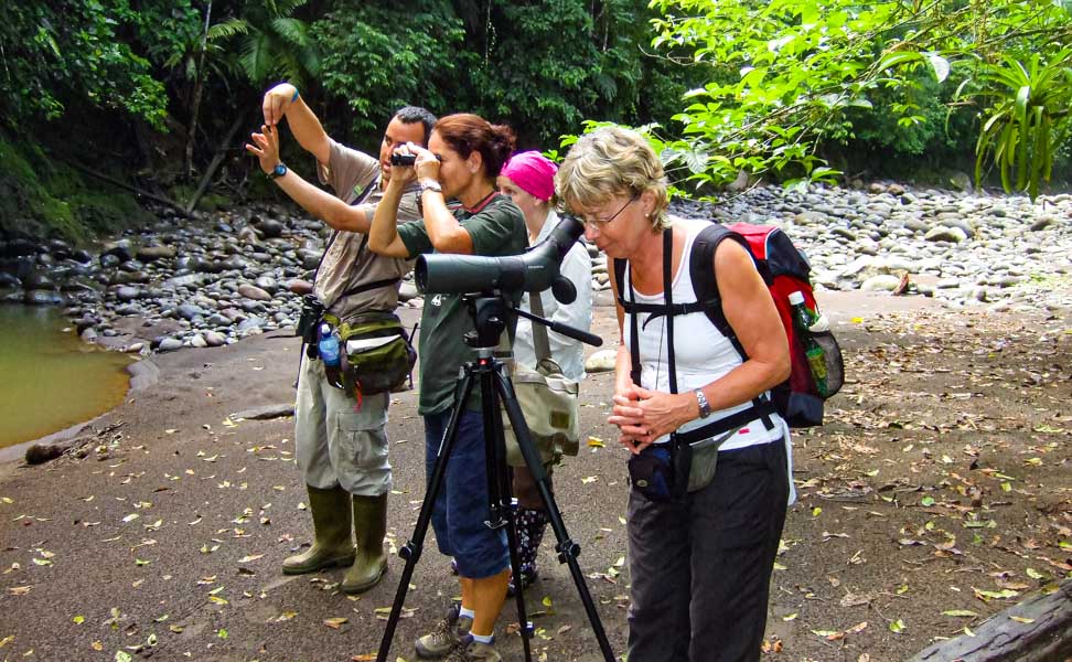 Gruppe Menschen beobachten Tiere im Nationalpark in Costa Rica auf der Reise Kolibri. 