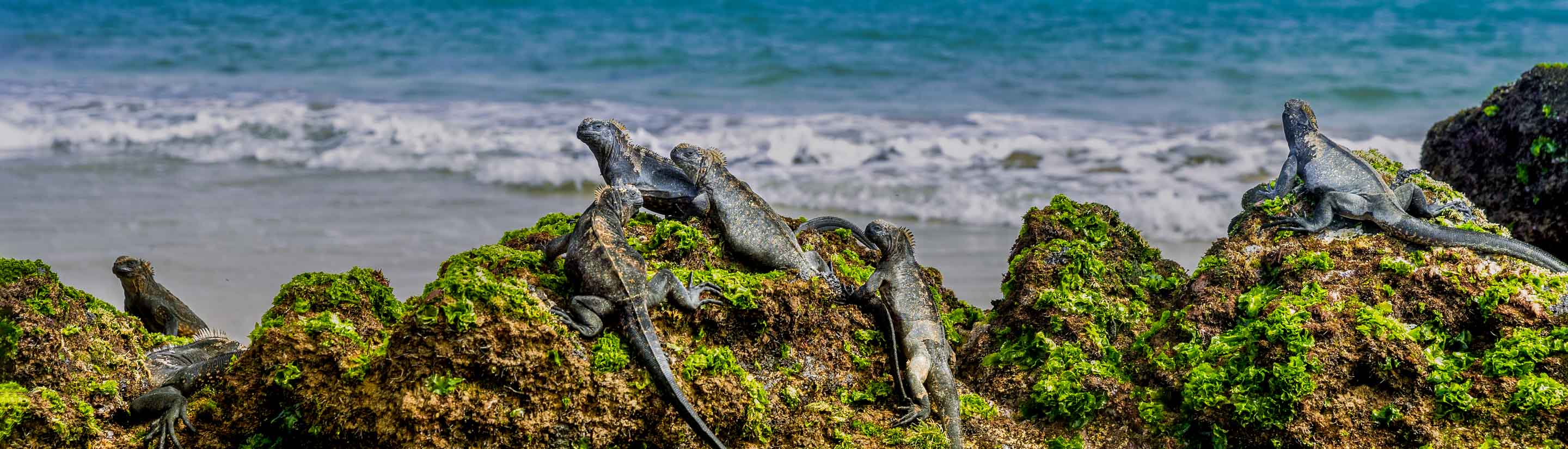 Eine phantastische Reise nach Ecuador