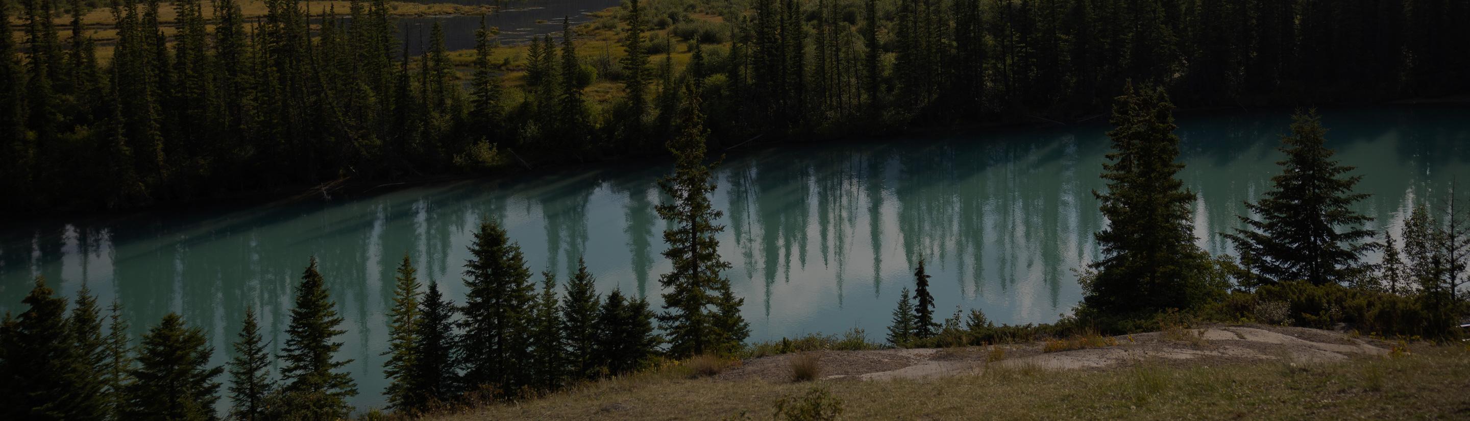 Peyto Lake im Banff Nationalpark in Alberta, Kanada