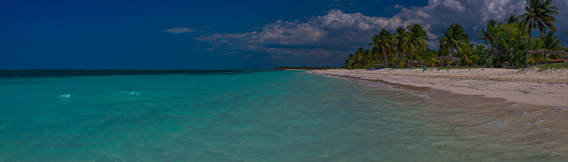 Kuba Reise Strand mit Palmen