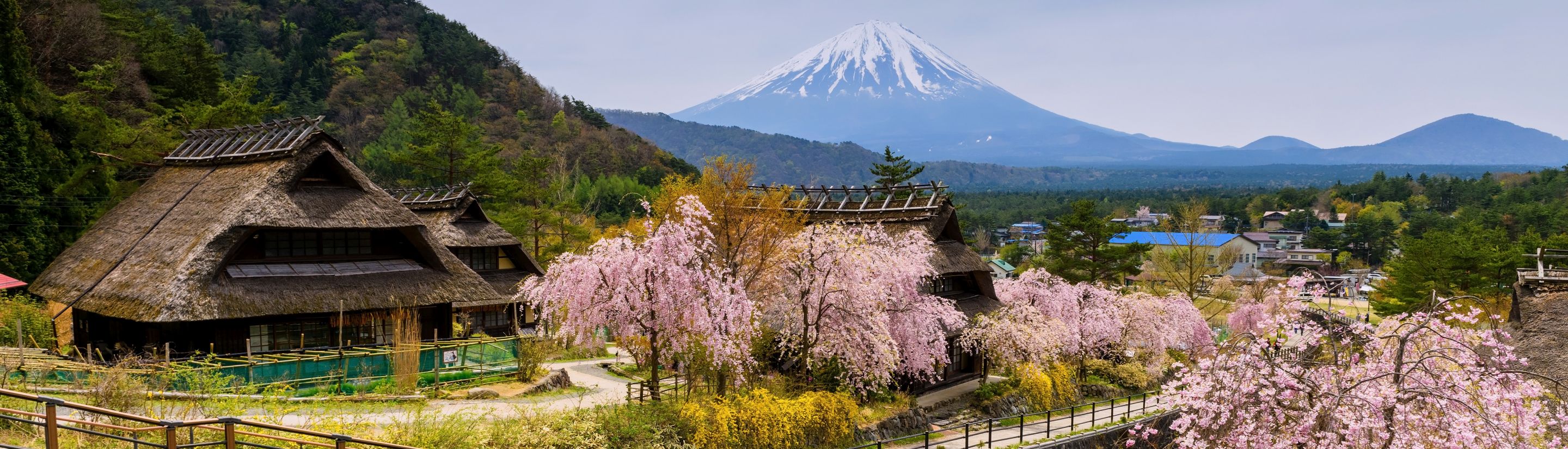 Fujiyama