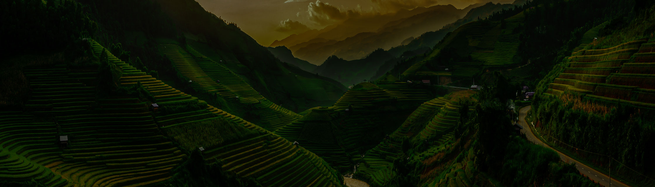 Grüne Reisfelder in den Bergen Asiens