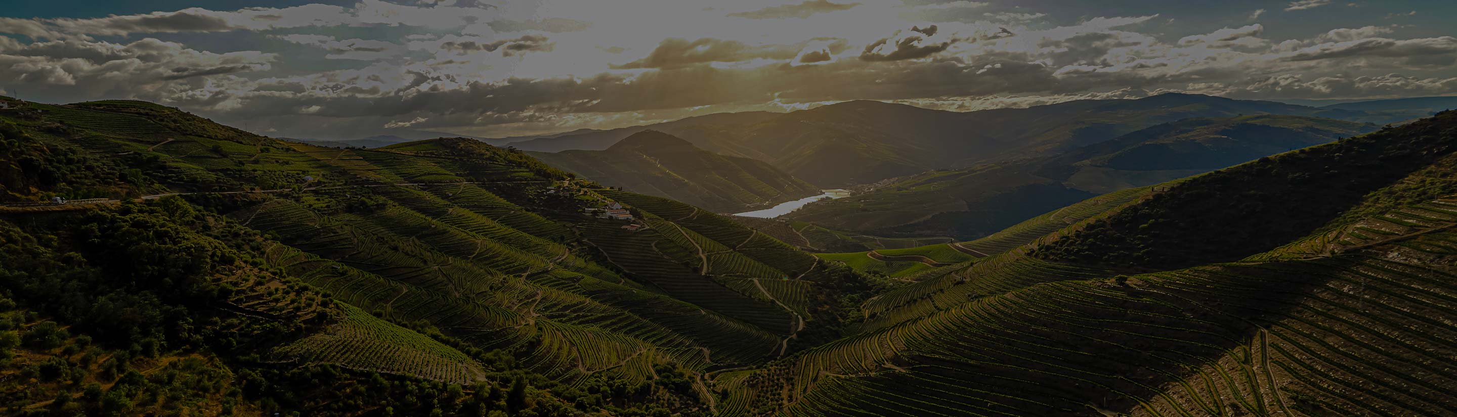 Portugal grüne Hügel Douro Tal