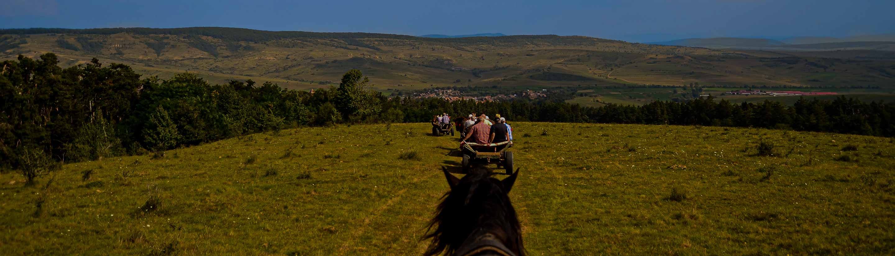 Rumänien Pferdekutsche Landleben Weiden