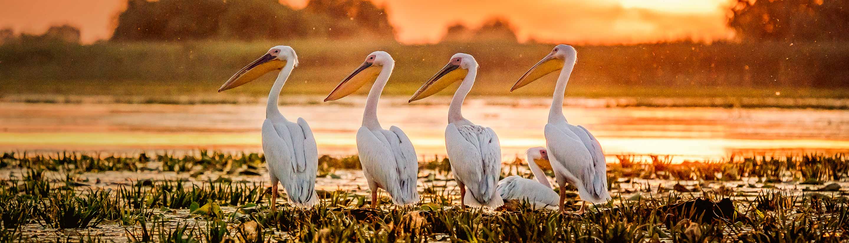 Donaudelta-Siebenbürgen