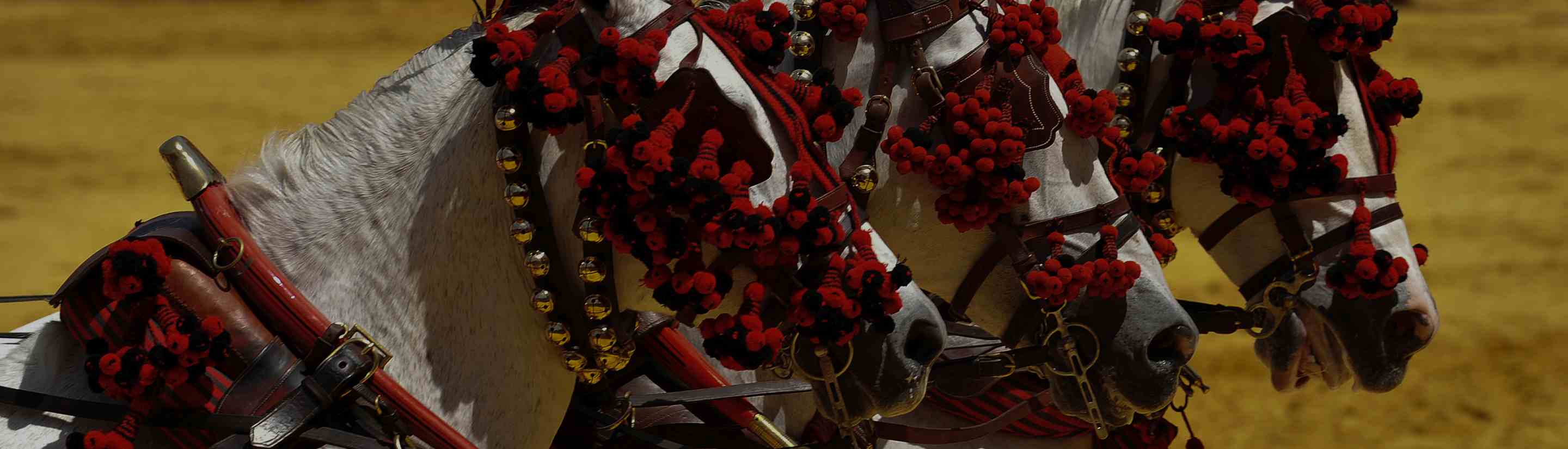 Pferde mit rotem Kopfschmuck in Andalusien Spanien