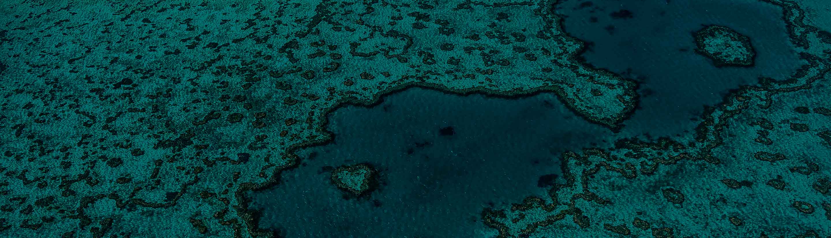 Great Barrier Reef von oben bei Whitsunday's in Queensland Australien.