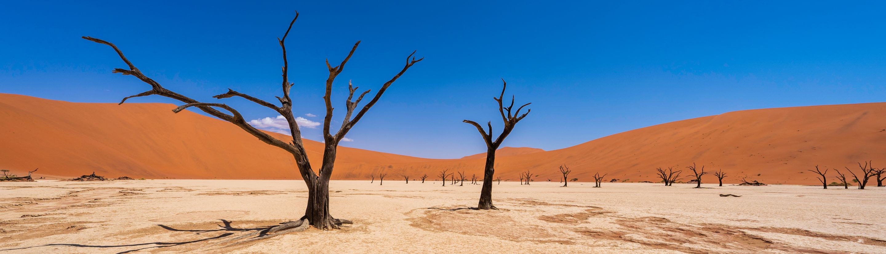 Was Sie über das Reiseland Namibia wissen sollten