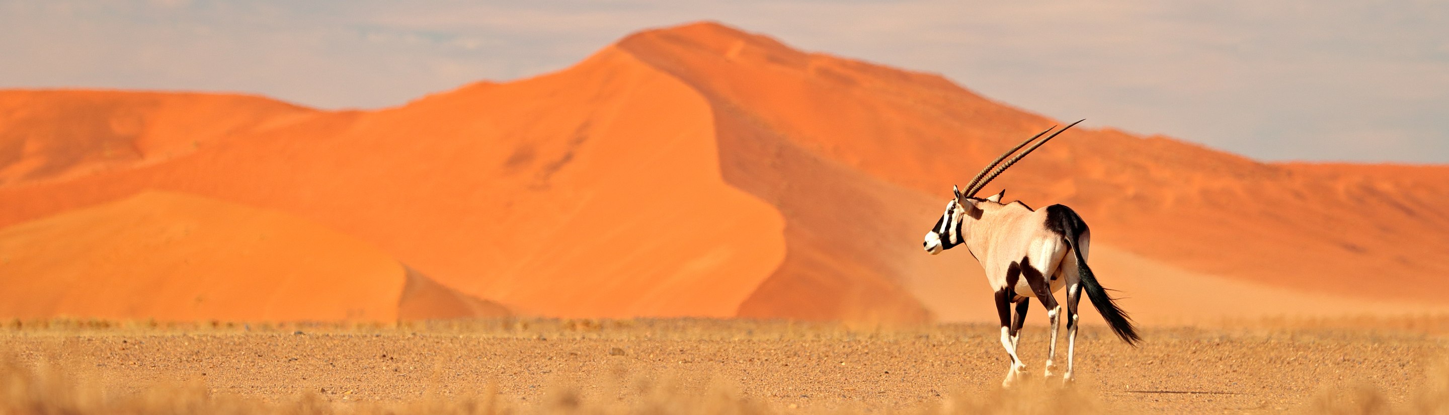 TARUK Filme - Namibia