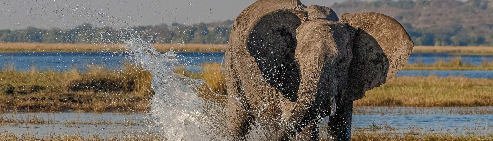 Flussoasen Caprivi